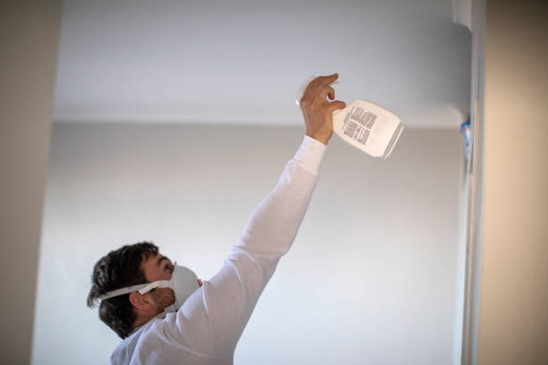 Best Professional Mold Removal  in Ly Lake, IL