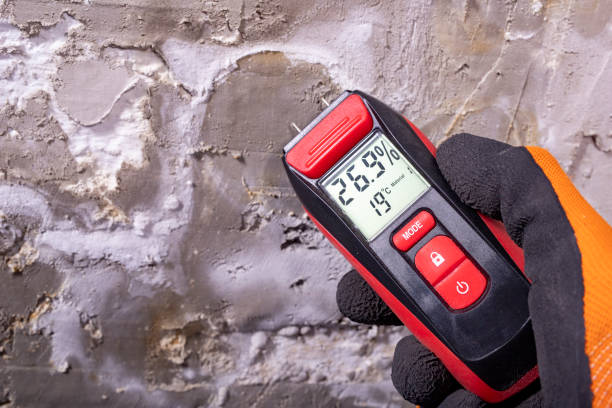 Best Local Mold Removal Service  in Ly Lake, IL