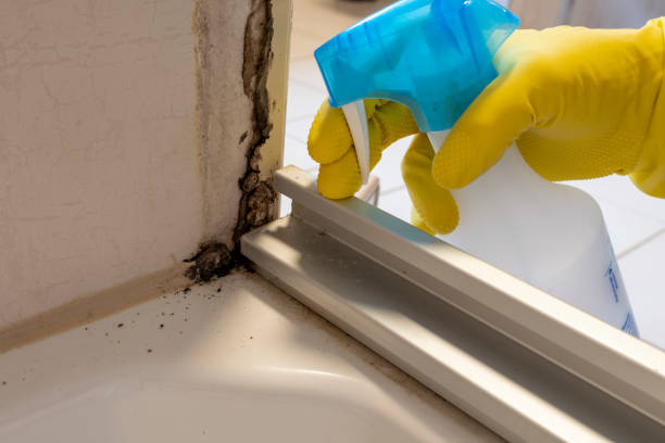 Best Fast Mold Removal  in Ly Lake, IL